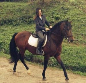 Jazda na koni pri farme alebo okolí