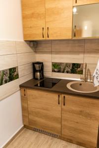 a kitchen with wooden cabinets and a sink at Studio Aries Postavarului in Braşov