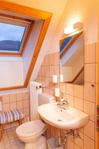 ヴォルフアッハにあるBartleshofのバスルーム(洗面台、トイレ付)、窓が備わります。