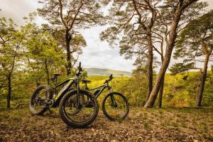 two bikes parked next to each other in a forest at Hotel - Restaurant Bastenhaus in Dannenfels