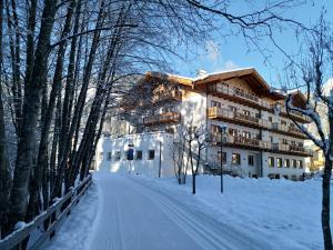 Park Hotel Avisio under vintern