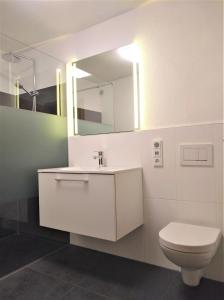 bagno con servizi igienici, lavandino e specchio di Ferienwohnung Julius a Innsbruck