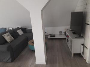 TV a/nebo společenská místnost v ubytování Studio apartman Zagreb Horvati