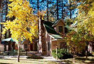 una pequeña casa en medio de árboles en Sleepy Forest Cottages en Big Bear Lake