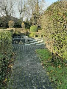 a stone path in a garden with a hedge at Monteurswohnung Monteurunterkunft in Heilbronn