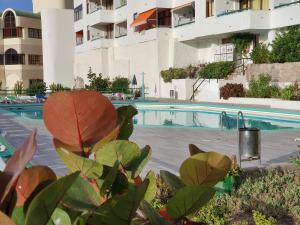 una piscina di fronte a un edificio di MGT - Appartamento sulla Spiaggia con terrazza romantica a Puerto Rico de Gran Canaria