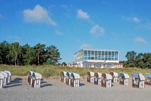 eine Reihe von Stühlen am Strand mit einem Gebäude im Hintergrund in der Unterkunft Ferienhaus Augustin mit Reetdach und Kamin in Baabe