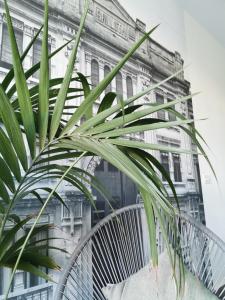 a plant in front of a building at Duplex Maisonette with Heated P-Pool and Jacuzzi in St Julian's