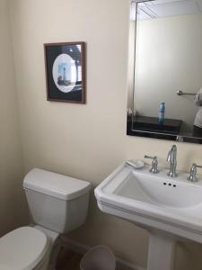 een badkamer met een wastafel, een toilet en een spiegel bij 14 Charles St Apartment in Guilford