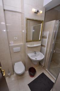 a bathroom with a sink and a toilet and a mirror at Hotel Cerbul in Statiunea Borsa