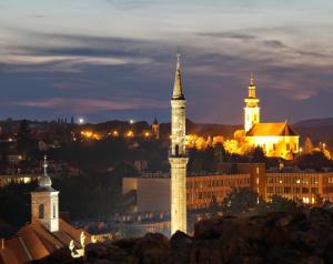 Miestna pamiatka v blízkosti apartmánu