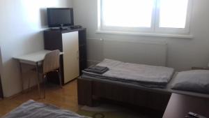 Zimmer mit 2 Betten, einem Schreibtisch und einem TV in der Unterkunft Ubytovanie Alex in Sládečkovce