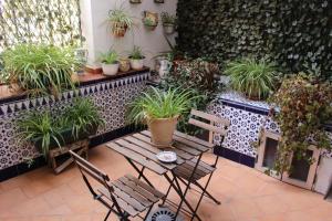 a patio with a table and chairs and potted plants at Apartamento BAÑOS ÁRABES DEL CENIZAL antes Plaza de las Fuentes in Toledo