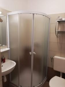 um chuveiro na casa de banho com um lavatório e um WC em Tulip Family Apartments em Eger