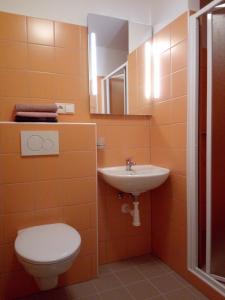 Koupelna v ubytování Apartmán U Dubu