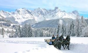Appartements Haus Bergland v zimě