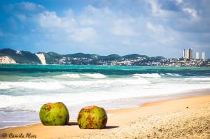two coconuts sitting on a sandy beach near the ocean at Pousada Nossa Natal in Natal