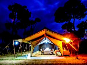 Gallery image of Serengeti Savannah Camps in Soronera
