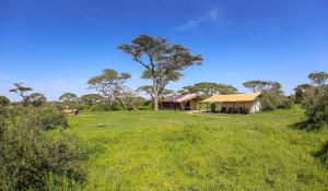 Serengeti Savannah Camps