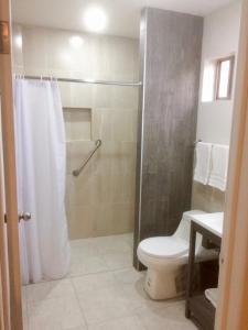 a bathroom with a shower with a toilet and a sink at Magnolias Suites Hotel in Nuevo Casas Grandes