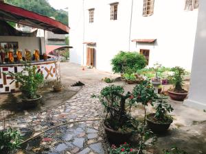 a courtyard with potted plants in front of a building at Shan Tea Homestay in Ha Giang