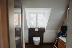 a bathroom with a toilet and a sink at "REH"-sidenz Moselschleife in Leiwen