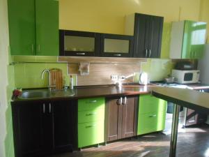 a kitchen with green cabinets and a sink at Цитадель к15 in Omsk