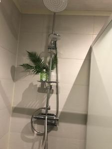 a plant sitting on a shelf in a bathroom at Villa Lillgården with Sauna and Jacuzzi in Norrköping