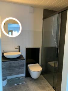 un bagno con un water, un lavandino e uno specchio di La Maisonnette a Travers