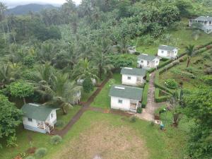 an aerial view of houses on a hill with palm trees at N`Guembú Nature Resort in Porto Alegre