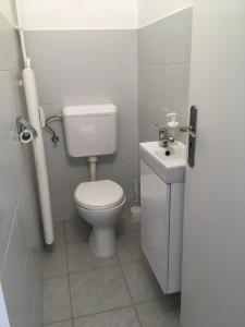 a small bathroom with a toilet and a sink at Harangláb Apartman Tata in Tata
