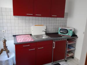 eine Küche mit roten Schränken, einer Spüle und einer Mikrowelle in der Unterkunft Singerstr 14 in Nürnberg