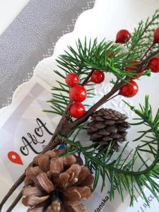 a branch with pine cones and red berries at Stan-apartman A&A in Banja Luka