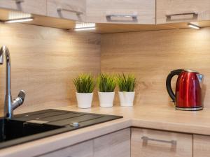 Kuchyňa alebo kuchynka v ubytovaní Feniks Apartament