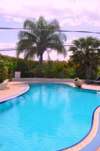 a large blue swimming pool with palm trees in the background at Shavit Simple room in Arbel