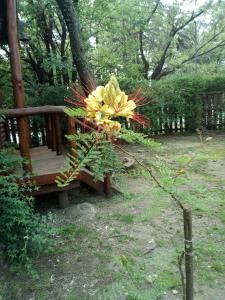 un ramo de flores sentado en un banco de madera en Cabaña Las Nubes en Río Ceballos