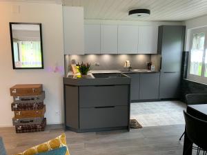 a kitchen with a sink and a counter top at La Maisonnette in Travers +4 photos