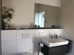 Ένα μπάνιο στο A&N Prestige Apartments "Attika" close to BASEL and Rhine river +33 φωτογραφίες