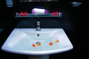 Fotografie z fotogalerie ubytování Primrose Family Resort v Udawalawe + 73 fotografií