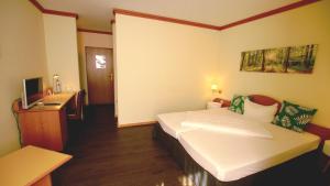 TV a/nebo společenská místnost v ubytování gut-Hotel Tannenhof + 32 fotografií