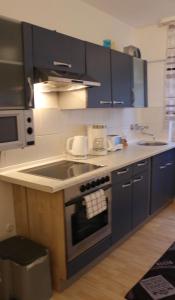 a kitchen with blue cabinets and a stove top oven at Appartment in Walldorf mit Schlafzimmer, Küche und Bad in Walldorf