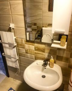 コパオニクにあるApartman Tanjaの洗面台と鏡のあるバスルーム