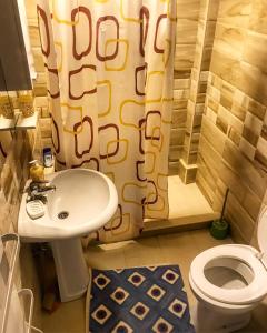 コパオニクにあるApartman Tanjaのバスルーム(洗面台、トイレ、シャワーカーテン付) +24枚の写真