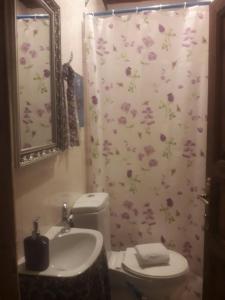 ein Badezimmer mit einem WC und einem Duschvorhang mit Blumen in der Unterkunft Nimet Hanım Konağı in Safranbolu