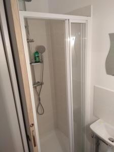 La salle de bains est pourvue d'une douche avec une porte en verre. dans l'établissement Studio Moulins, à Moulins