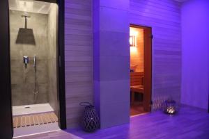 a purple bathroom with a walk in shower next to a tub at Pensjonat Irena in Muszyna