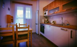 Kuchyňa alebo kuchynka v ubytovaní Apartment Anna Vysehrad