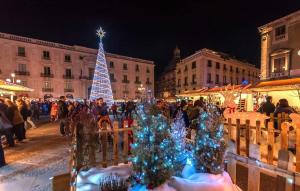 un mercatino di Natale con alberi di Natale in una strada di città di Sotto il Duomo a Catania