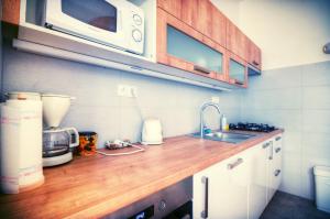 Kuchyňa alebo kuchynka v ubytovaní Apartment Anna Vysehrad + 7 fotografií