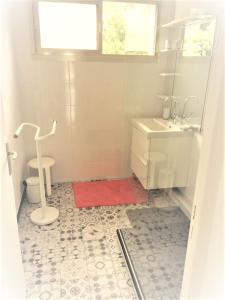 a bathroom with a sink and a red rug at Appartement vacances cannes in Cannes +8 photos